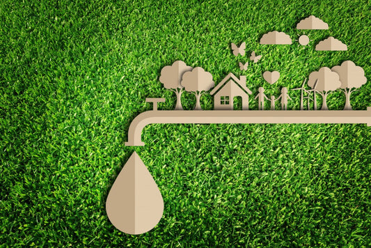 Greening Your Spring: Simple Steps for a Sustainable Season