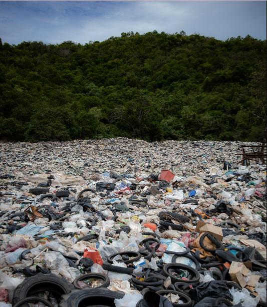 The Environmental Impact of Transparent Face Masks