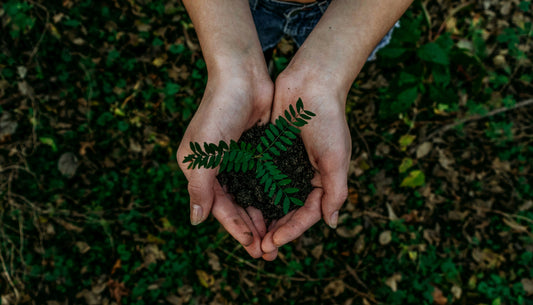 Sustainability and the Significant Involvement of the Society