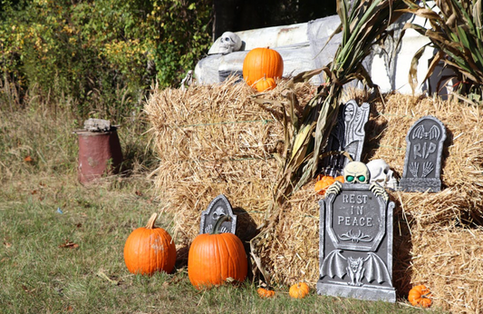 Sustainable Ghouls: An Eco-Friendly Halloween