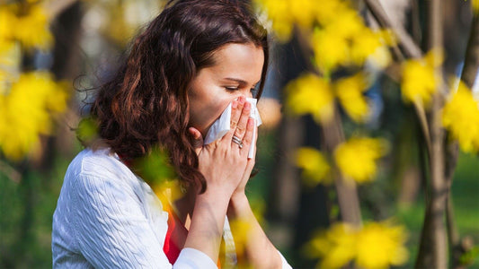Pollen Patrol: A Guide to Tackling Springtime Allergies
