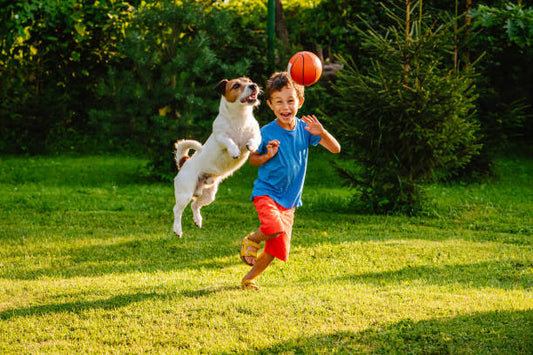 Doggy Day Out: Ways to Enjoy Your Day with Your Dogs