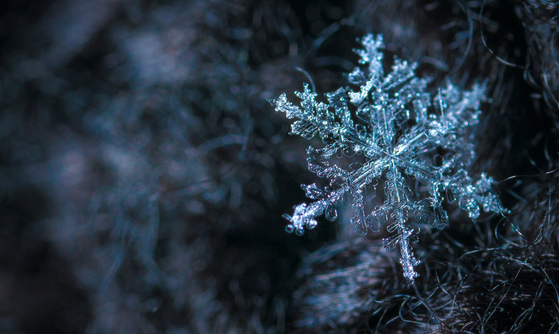 "Frosty Fashion: Icy Tones and Winter Wonderland Masks”